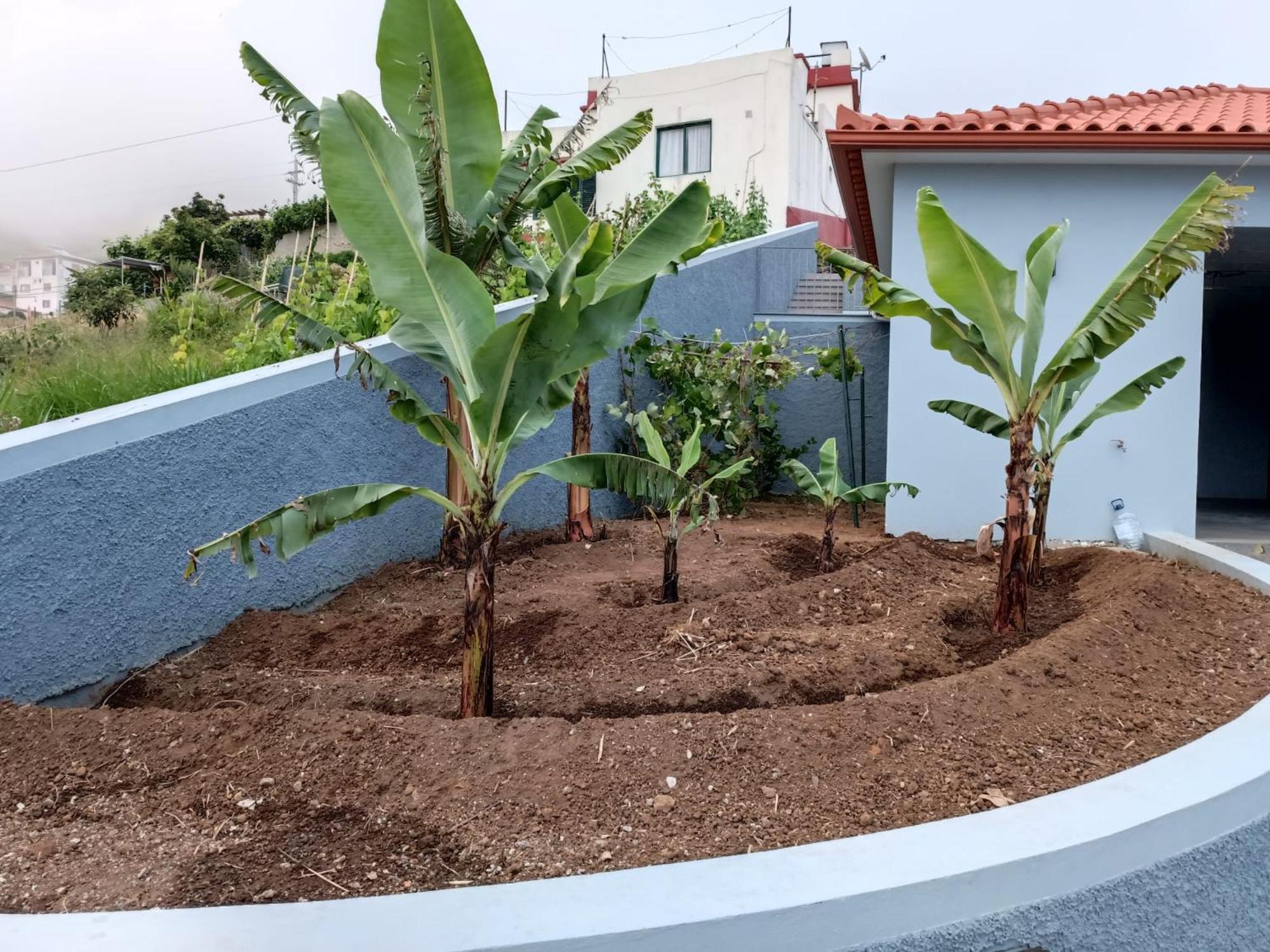 Calheta Paradise Holiday Home Arco da Calheta  Bagian luar foto